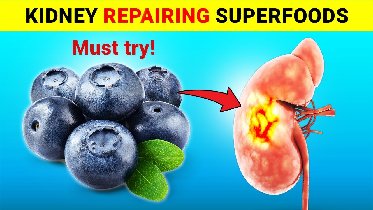 Top 8 Superfoods to Heal Your Kidneys and Lower Blood Creatinine