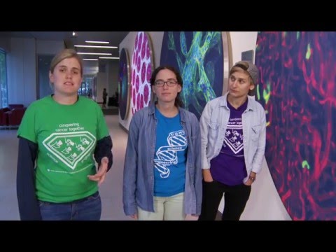 Chemotherapy Resistance: The Fault in Our Cells