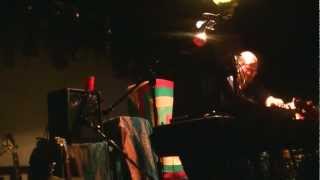 Dan Deacon - Trippy Green Skull at Firebird STL MO 9/2/12 part 6