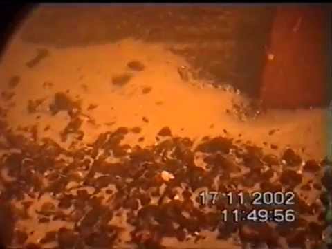 Подводные съемки гибель рыбы 17-11-2002