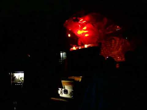 Dandelion Soundsystem plays  - Animal Liberation @ Foods&Culture