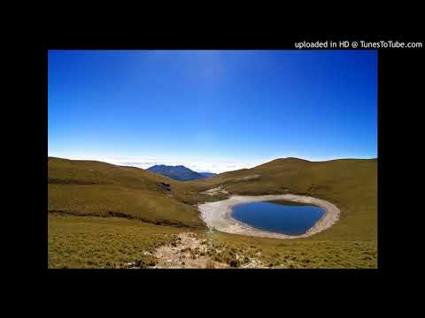 Dancebangerz - Por Que No 2006