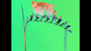 Flume - Trust ft. Isabella Manfredi