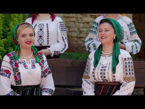 Doina Ensemble - My Country