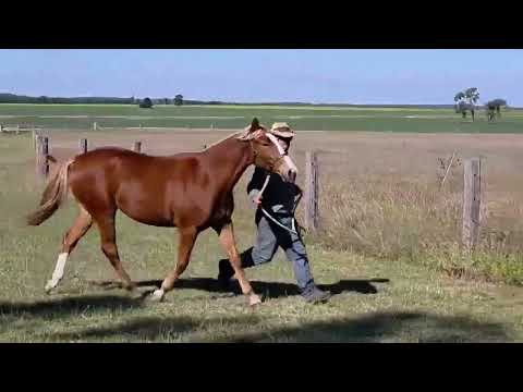 Lot 130 Sevenangle Breezy