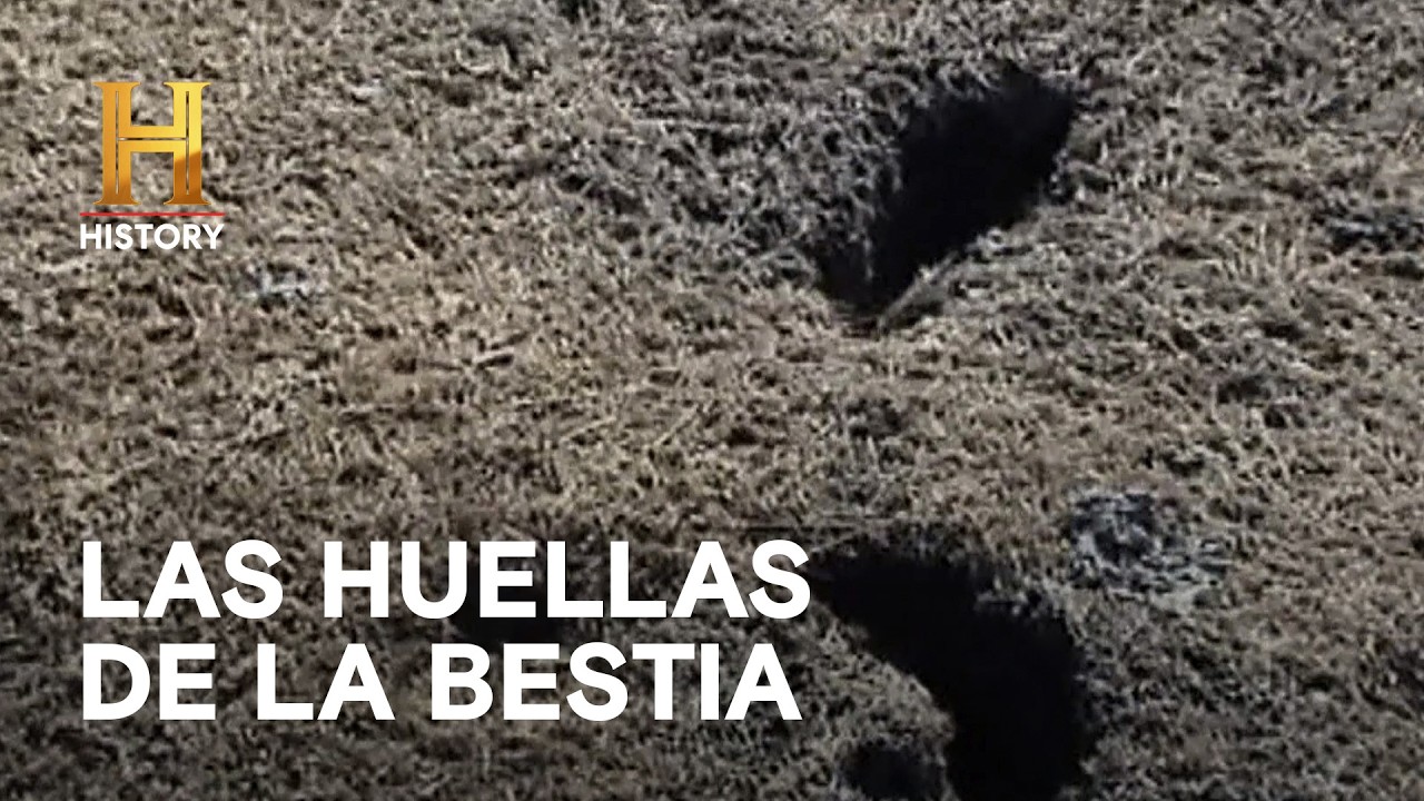 EL MISTERIO DE LAS SIERRAS NEVADAS - Monstruos Legendarios