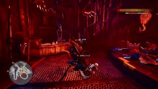 NAOのMHW:IB #33 凍てつく国の白い騎士