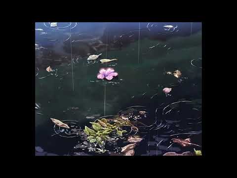 ☆free for profit☆ lil peep x meeting by chance type beat "deleted scenes"