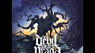 The Devil Wears Prada - Big Wiggly Style