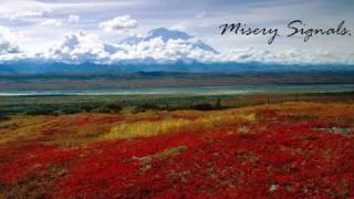 Misery Signals - The Stinging Rain