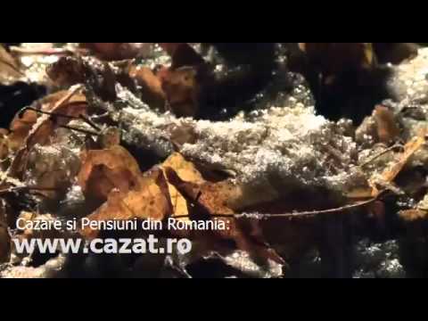 Cazare Alparea, Bihor - Cazat.ro