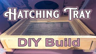 Hatching Tray - DIY Build