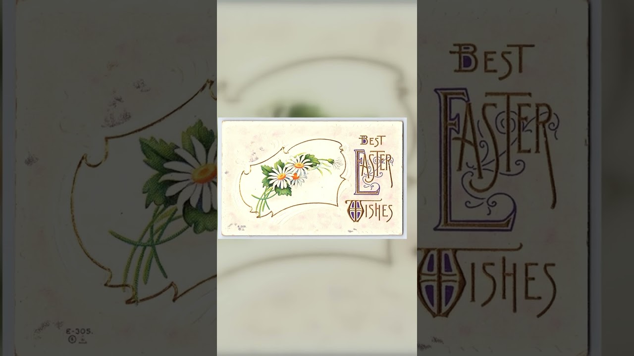Nash Easter Postcard, Daisies, 1915 Postmark, South Dakota Video