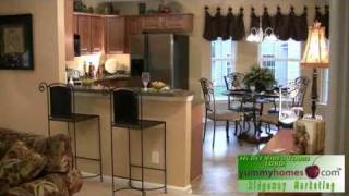 preview picture of video 'The Camden Model Home in Columbia and Lexington, SC'