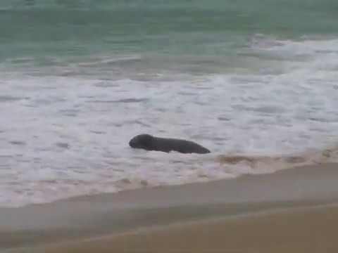 Sea Kayaking Scotland on the Outer Hebrides,