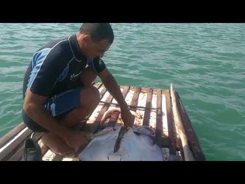 O popoti Perdeu Foi kkk