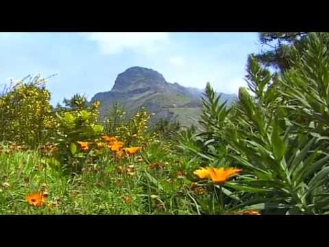 "Непутевые заметки" с Дмитрием Крыловым о Португалии