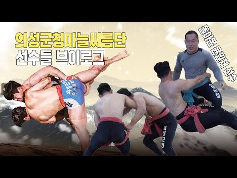 씨름 연습중 !!! 11월23일~29일 의성씨름 대축제 대비