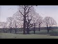 The Ferryman’s Daughter by Blake (Donovan cover)