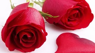 industria del amor con ♥poemas♥ rosas rojas