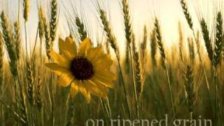 Do Not Stand At My Grave And Weep - comfort in grief