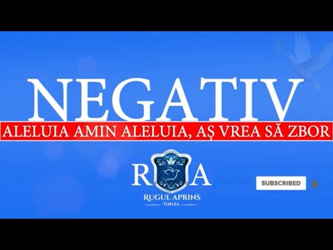 Amin Aleluia/ Aș vrea să zbor ~ Negativ ~ Fata