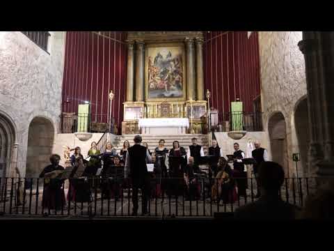 Hoy comamos y bebamos CAMARA ANTIQVA