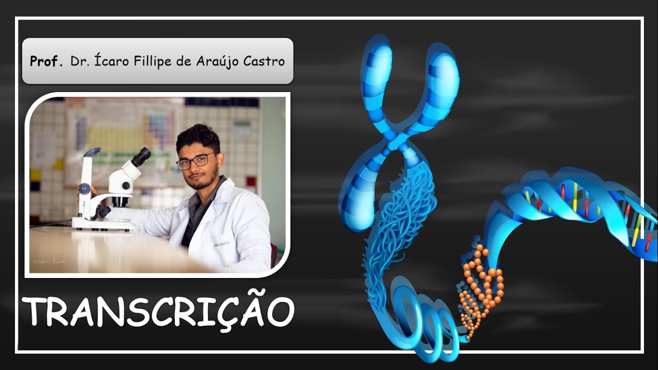 Transcrição em eucariontes - BIOLOGIA MOLECULAR