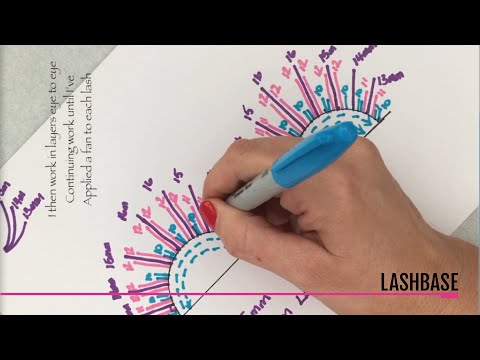 Wispy Lash Map - LashBase