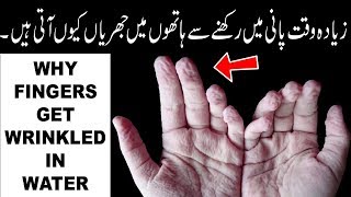Why Fingers Get Wrinkled In Water Urdu/Hindi