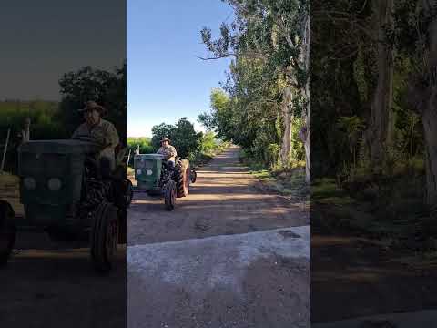 JUNÍN: AGRESIÓN A UN ADULTO MAYOR EL TESTIMONIO DEL HIJO