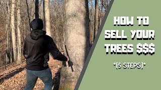 How to sell your trees