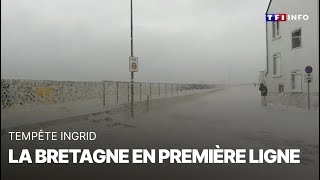 🔴 Tempête Ingrid : le Bretagne en première ligne｜TF1 INFO