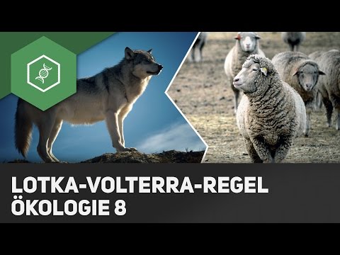 Lotka-Volterra Rules - Ecology 8