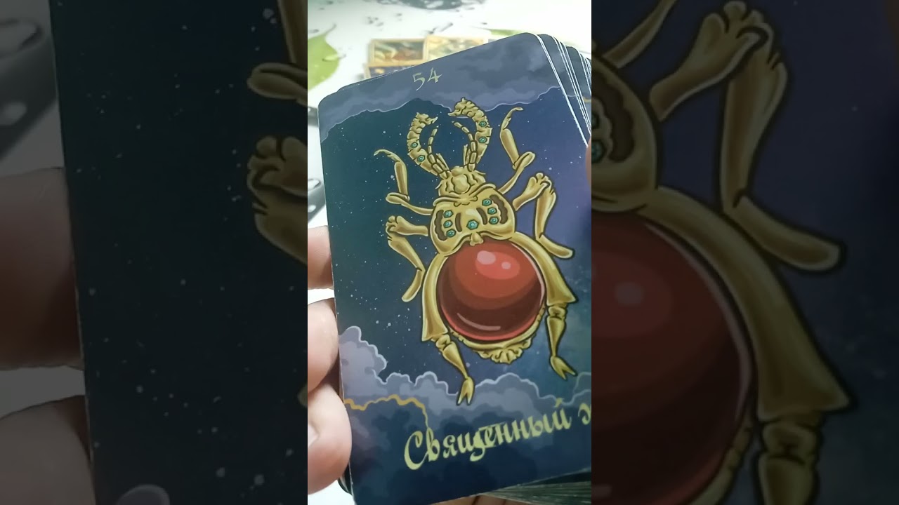 Кого взяли за. опу