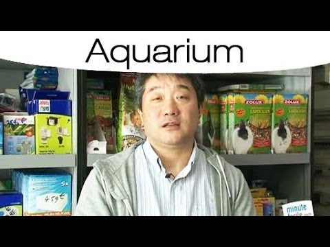 comment nettoyer aquarium vide