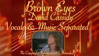 Brown Eyes - Song by David Cassidy /Partridge Family ( Vocals &amp; Music Separated)