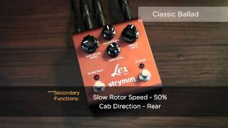 Strymon Lex Video