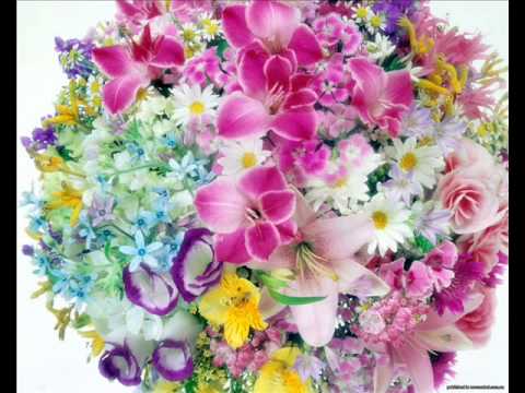 Usein Shabutov-  Melody for Latifa