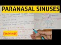 Paranasal Sinuses - 1 | Head & Neck