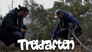 Nintendo Switch Speltips och Skogsgaming