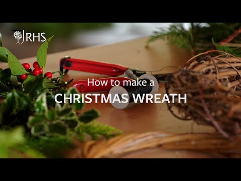 How to make a Christmas wreath | The RHS