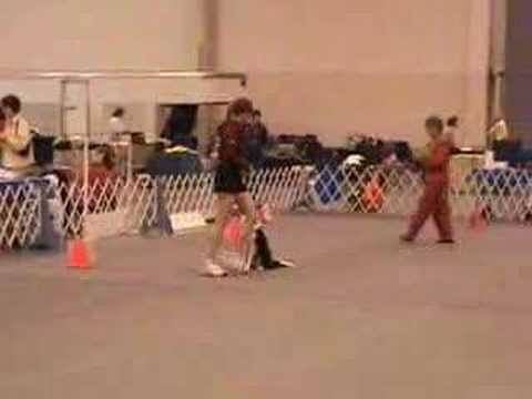 Spirit Rally Advanced A