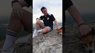 Cuteness overload in Sri Lanka 🇱🇰 Dog shares epic sunset #travel #srilanka #dog