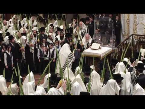 Hoshana Rabbah in Bobov 5777