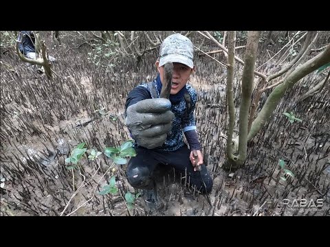 EP742-P1 - Tikhan, Lokan, at mga Isda | Occ. Mindoro