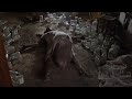 The ABCs Of Death 2 2014 ZYGOTE Full Short HD