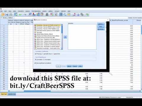 Calculating and Understanding Correlations in SPSS and Excel