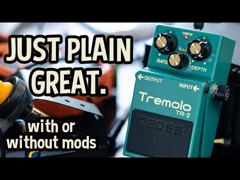 Boss TR-2  Tremolo - Always a Favorite, With Good Reason