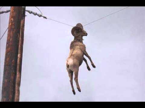 Evermore - Its Too Late - Megaband Remix